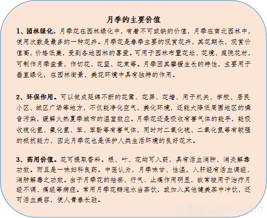 藤本类月季品种简介(图12) 藤本类月季品种简介(图7)