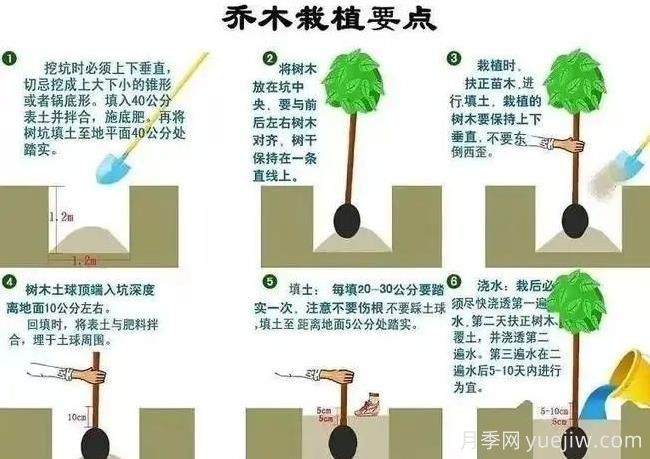 秋冬季园林植物养护技术要点(图2) 秋冬季园林植物养护技术要点(图2)