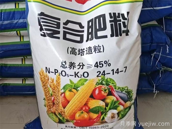 月季花肥料怎么选用好？(图1)