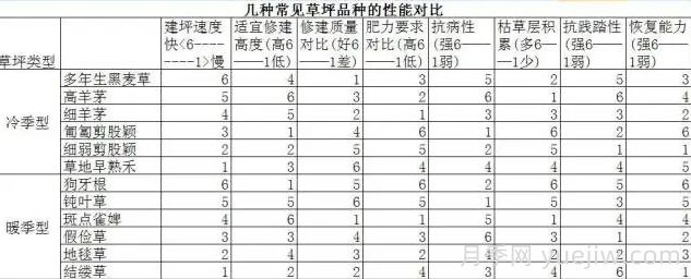 草坪品种及性能对比，收藏学习(图2)