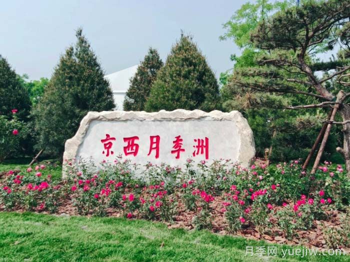 月季园：北京京西月季洲(图1)