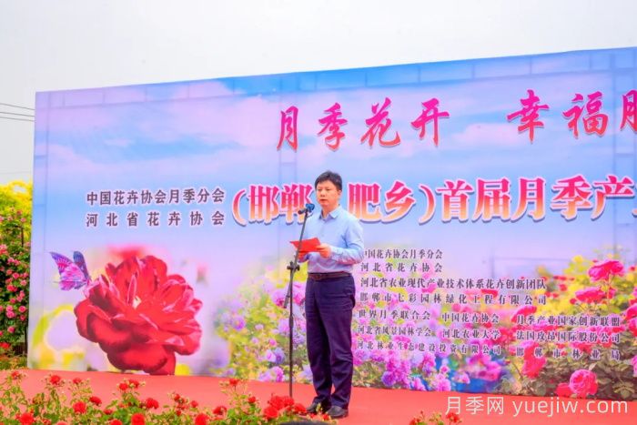 邯郸月季：肥乡区首届月季产业高质量发展大会举办(图1)