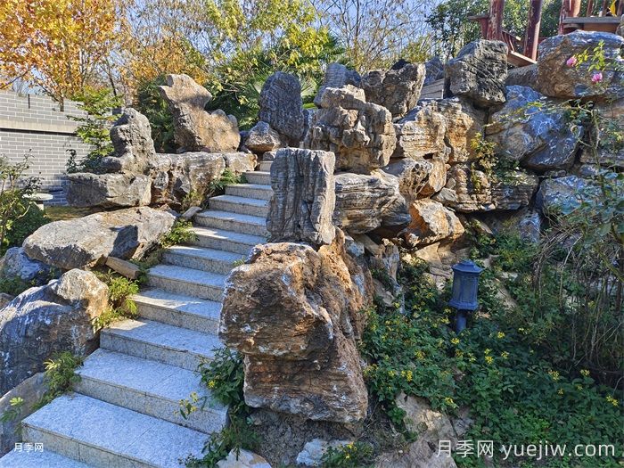 园林景石与植物配置的几种不同形式(图1)