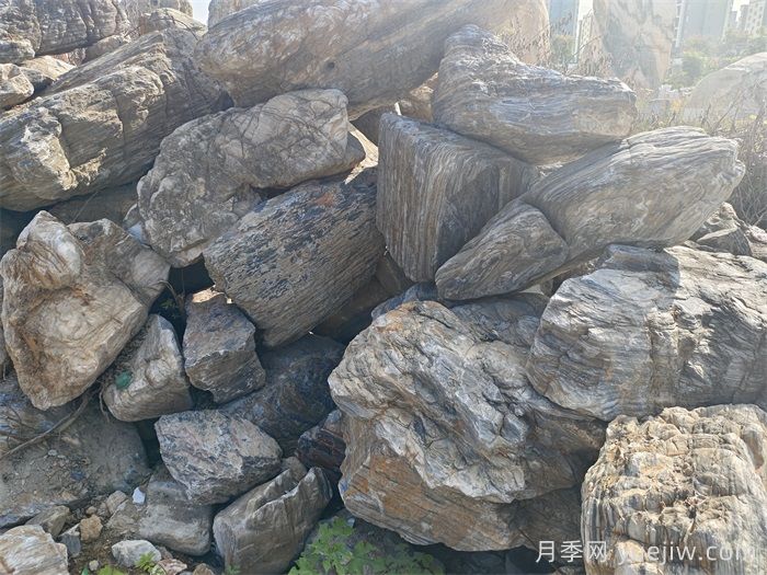 园林常用的十大景观石种类(图2)