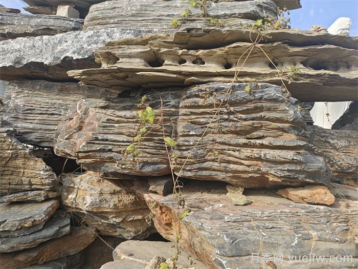 园林景观石种类及全国分布(图1)