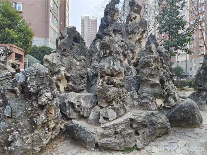 庭院十大常用景观置石(图1) 庭院十大常用景观置石(图1)