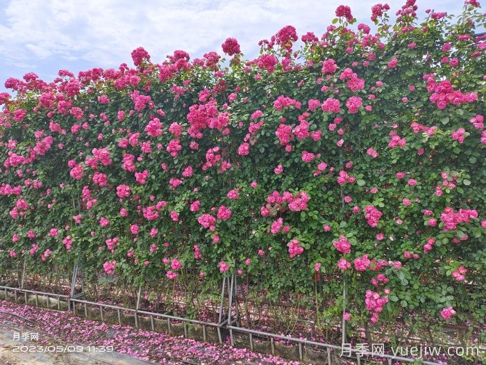 五种边界处理手法，演绎多元化的空间美学(图1)