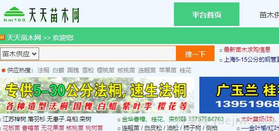 天天苗木网，苗木供应求购信息服务网(图1)