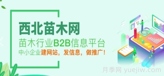 西北苗木网，苗木供应求购网站(图1)