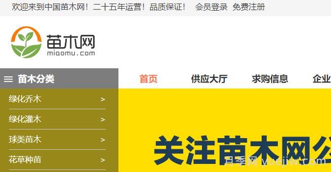 苗木网，中国苗木网，苗木供求大数据平台(图1)