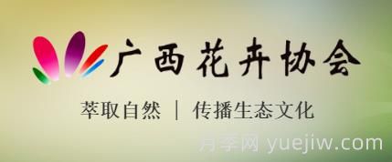 广西花卉协会(图1)