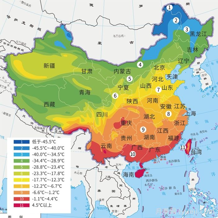 一个冬天小苗变大苗?月季小苗到货后应该做什么?(图2) 一个冬天小苗变大苗?月季小苗到货后应该做什么?(图2)