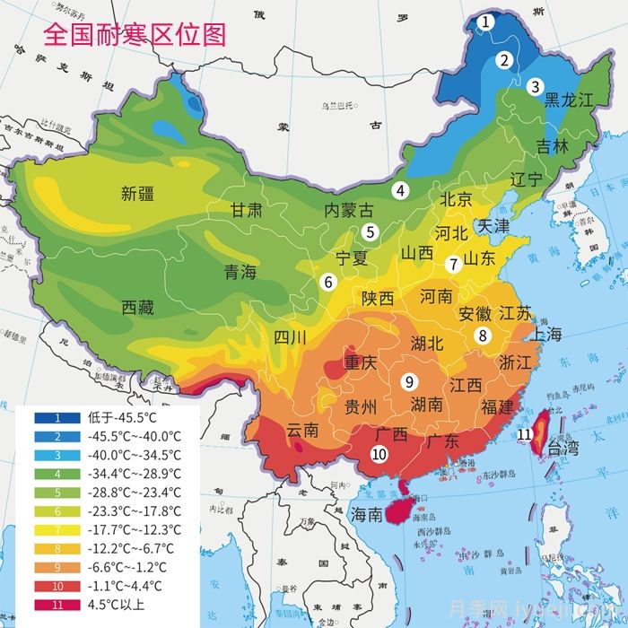 月季旺长要翻盆，小盆换大盆，选对时间有你花好看的！(图2)