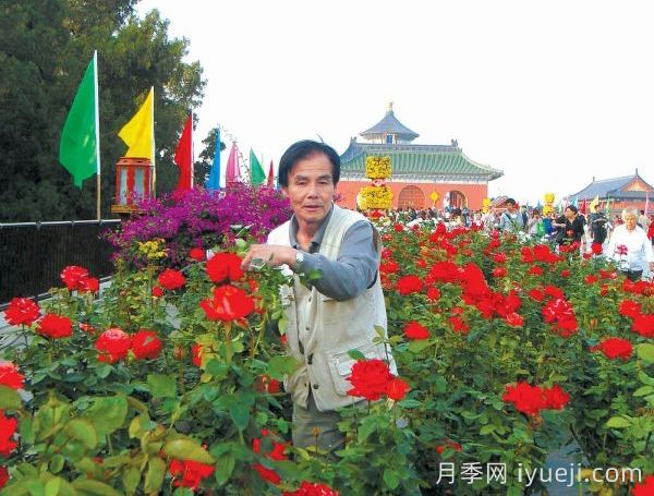 月季名人：李文凯(图1)
