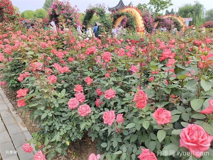 风景园林的未来会变好吗？重新定义(图1)