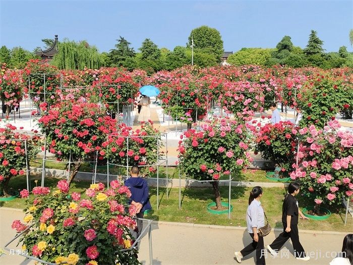 风景园林的未来会变好吗？重新定义(图2)