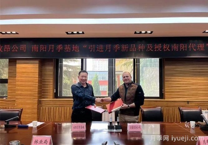 南阳月季基地和法国玫昂月季公司签约引进新品种(图1)