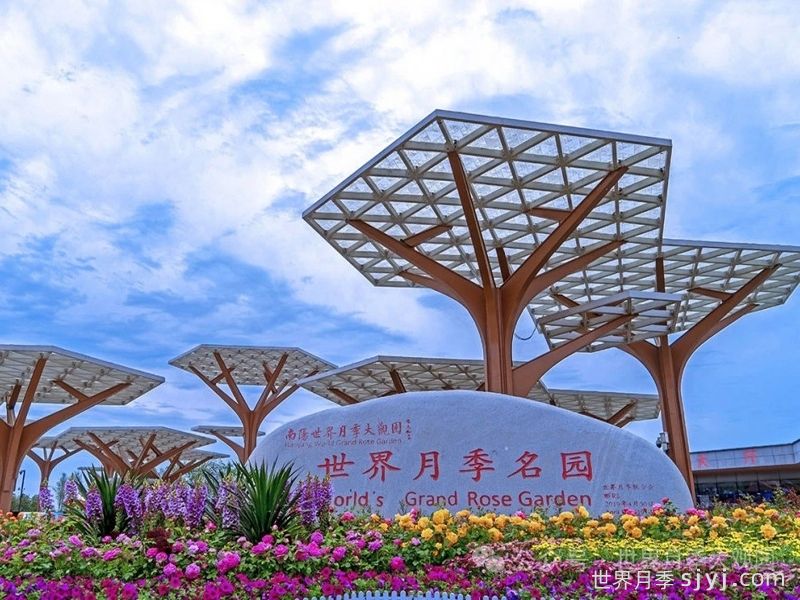 月季园:南阳世界月季大观园(图2) 月季园:南阳世界月季大观园(图2)