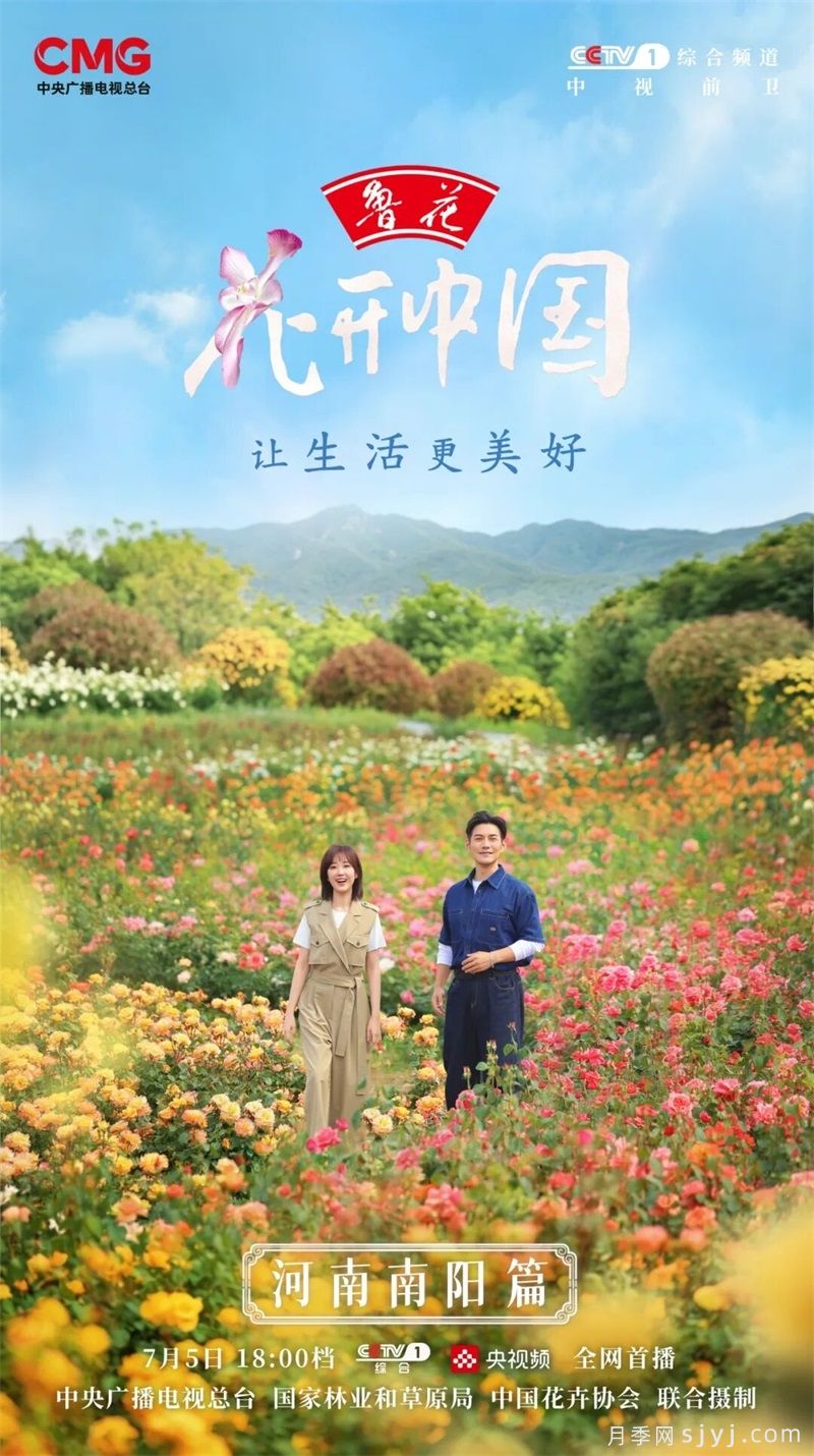 《花开中国》南阳月季：月季之都花满城，一脉馨香贯古今(图1)