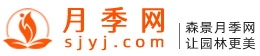 月季网的官网地址是什么?www.sjyj.com(图1) 月季网的官网地址是什么?www.sjyj.com(图1)