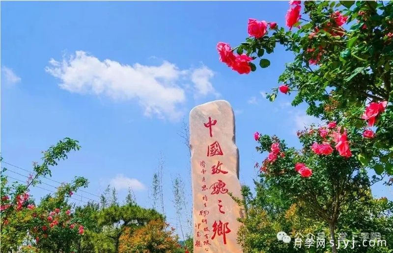 平阴玫瑰,“最山东”的芬芳名片!(图2) 平阴玫瑰,药食同源玫瑰基地,最山东的芬芳名片(图2)