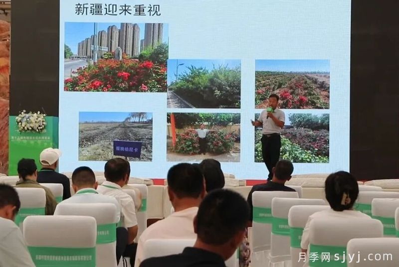 呼图壁苗木花卉博览会对月季行业有什么影响?(图1) 呼图壁苗木花卉博览会对月季行业有什么影响?(图1)