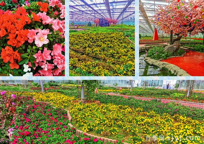 邹城康王谷花世界景区(图1) 邹城康王谷花世界景区(图1)