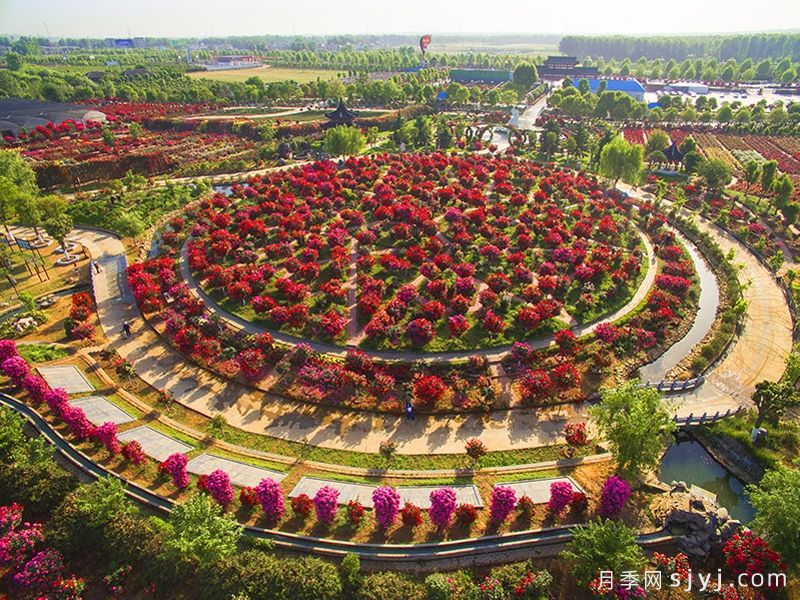月季名园：中国月季园(南阳月季博览园)(图1)