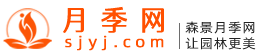 月季交易网的网址是什么？www.sjyj.com(图1)