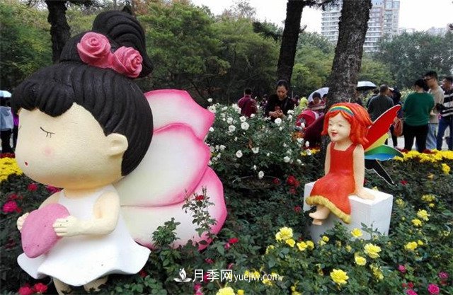 好多年没到深圳人民公园看月季花展了，不知今年如何(图4)