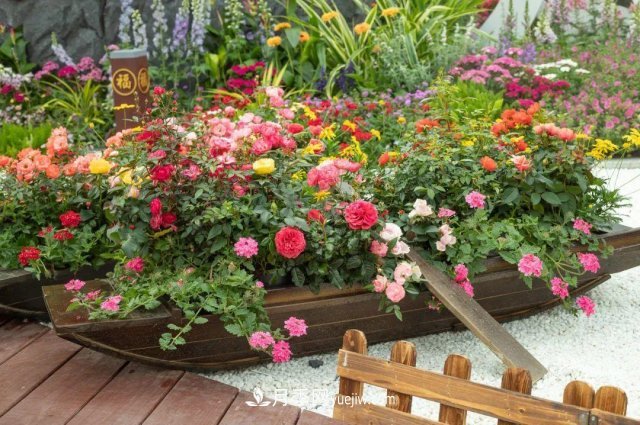 中国6大花市，全国花卉批发市场介绍(图2)