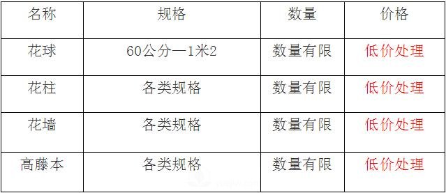 清地在即，部分造型月季品类月季价格短时间走低(图1)