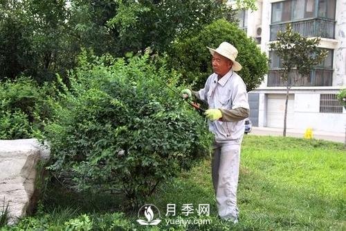 苗木春季养护的几点建议(图1)