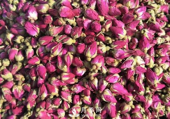 赠人玫瑰，手有余香，怎么看待平阴玫瑰(图1)