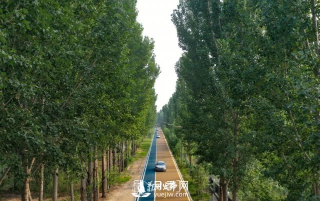 3.13万亩！2021年郑州绿化目之所及皆是绿(图2)