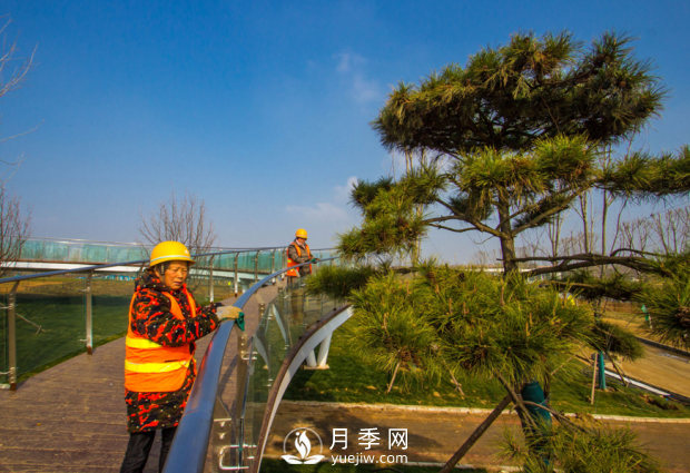 河南南阳：扮亮世界月季大观园 喜迎世界月季博览会(图3)