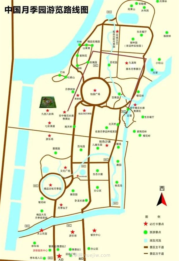 中国月季园千亩月季花开，南阳月季人间仙境打卡圣地(图3)