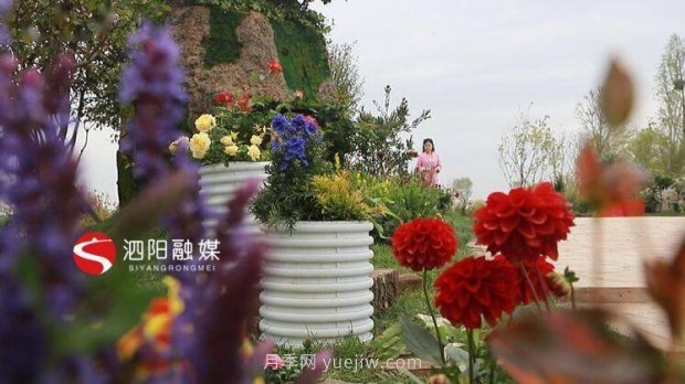 第十一届中国月季展览会:走进常州展园(图3) 第十一届中国月季展览会:走进常州展园(图3)