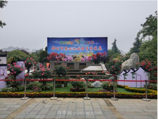 满城飘香赏月季,月季花开惊艳了四月的郑州(图6) 满城飘香赏月季,月季花开惊艳了四月的郑州(图6)