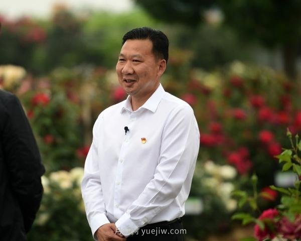 南阳月季：总书记向我询问月季花球新品种(图3)