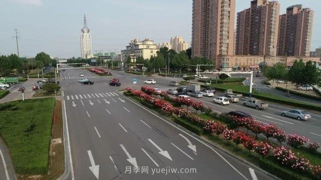 邢台市花月季!邢台“月季花城”要美翻牛城(图8) 邢台市花月季绽放!月季花城进入观赏期(图7)