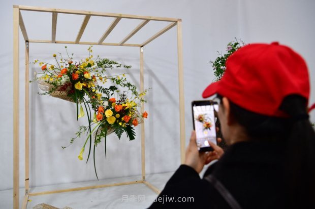 总书记走进这片花海，南阳月季产业生态富民(图6)