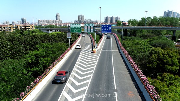 百个景点、百条花道、百里花带……未来几月，上海繁花似锦(图10)