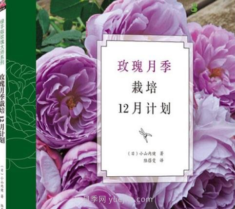 月季图书:小山内健《玫瑰月季栽培12月计划》(图1) 月季图书:小山内健《玫瑰月季栽培12月计划》(图1)