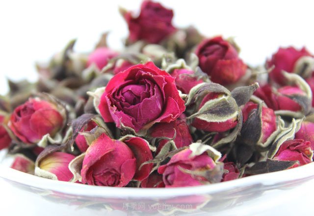 金边玫瑰花和普通玫瑰花的区别(图1)