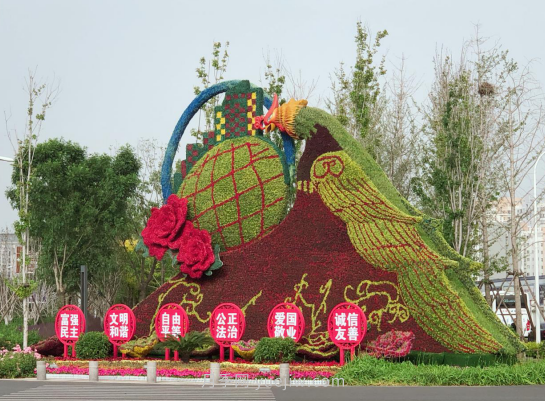 河北廊坊：建党百年 月季献礼(图2)