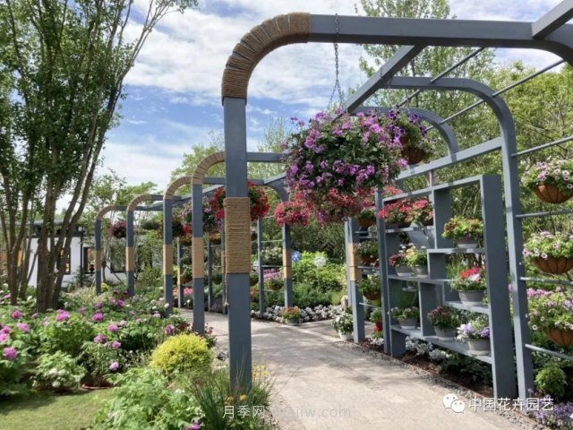 第十届花博会，＂中州花语 盛世繁华＂演绎河南文化(图3)