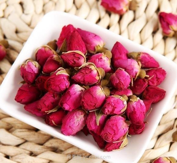 玫瑰、月季有区别？原来这么容易区分，一看就懂(图8)