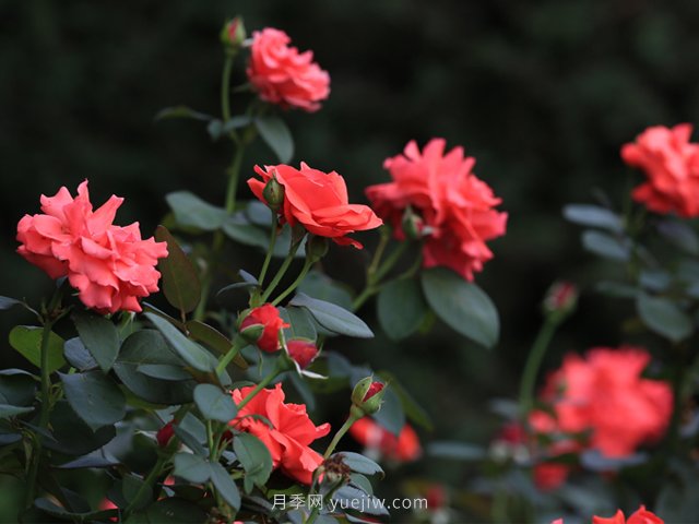 创业融资必须要掌握的30条原则(图1)