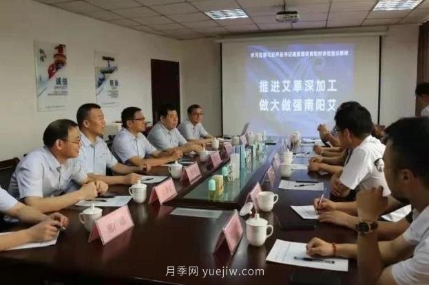 推进艾草深加工,做大做强南阳艾,主题座谈会成功召开(图1) 推进艾草深加工,做大做强南阳艾,主题座谈会成功召开(图1)